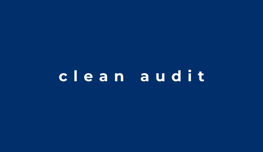  Clean Audit